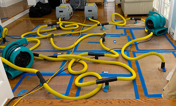 Professional Sewage Cleanup technician working in Mount Olive, IL