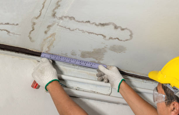 Affordable Water Damage Repair solutions in Mount Olive, IL